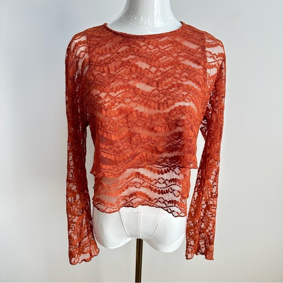 Zara Women’s Sheer‎ Lace Long Sleeve Grunge Fairy Whimsigothic Cropped Top Med - Picture 1 of 7
